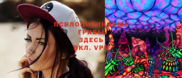 стафф Алексеевка