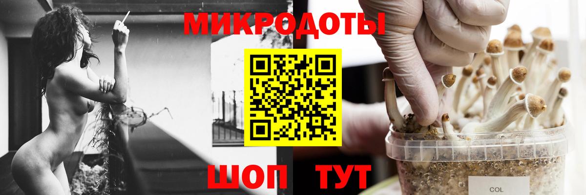 Псилоцибиновые грибы мицелий  Вход с VPN  Псилоцибиновые грибы мицелий  Красноуфимск 